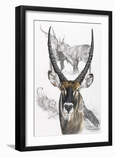 Waterbuck-Barbara Keith-Framed Premium Giclee Print