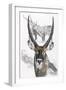 Waterbuck-Barbara Keith-Framed Premium Giclee Print