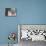 Waterbuck-Scott Bennion-Photo displayed on a wall