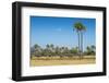 Waterbucks (Kobus Ellipsiprymnus) in Front of African Bush Elephants (Loxodonta Africana)-Michael Runkel-Framed Photographic Print