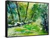 Watercolor 019031-Pol Ledent-Framed Stretched Canvas