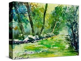 Watercolor 019031-Pol Ledent-Stretched Canvas