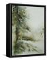 Watercolor 030306-Pol Ledent-Framed Stretched Canvas