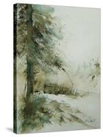 Watercolor 030306-Pol Ledent-Stretched Canvas