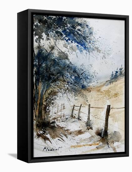 Watercolor 061106-Pol Ledent-Framed Stretched Canvas