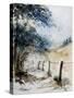 Watercolor 061106-Pol Ledent-Stretched Canvas