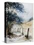 Watercolor 061106-Pol Ledent-Stretched Canvas