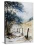 Watercolor 061106-Pol Ledent-Stretched Canvas