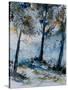 Watercolor 080108-Pol Ledent-Stretched Canvas