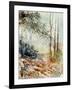 Watercolor 080605-Pol Ledent-Framed Art Print