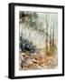 Watercolor 080605-Pol Ledent-Framed Art Print