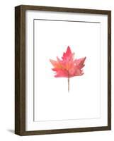 Watercolor 1 Leaf-Jetty Printables-Framed Art Print