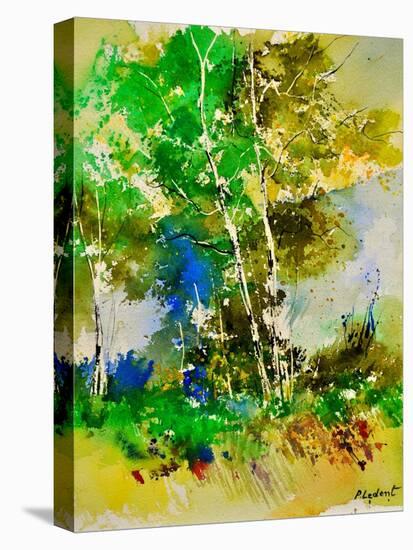 Watercolor 111061-Pol Ledent-Stretched Canvas