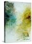 Watercolor 111107-Pol Ledent-Stretched Canvas