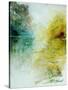 Watercolor 111107-Pol Ledent-Stretched Canvas