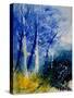 Watercolor 111107-Pol Ledent-Stretched Canvas