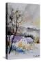 Watercolor 112012-Pol Ledent-Stretched Canvas