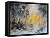 Watercolor 131206-Pol Ledent-Framed Stretched Canvas