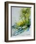 Watercolor 181207-Pol Ledent-Framed Art Print