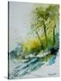 Watercolor 181207-Pol Ledent-Stretched Canvas