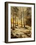 Watercolor 191106-Pol Ledent-Framed Art Print