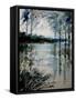 Watercolor 191205-Pol Ledent-Framed Stretched Canvas