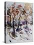 Watercolor 201206-Pol Ledent-Stretched Canvas