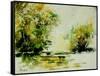 Watercolor 210407-Pol Ledent-Framed Stretched Canvas