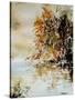 Watercolor 210505-Pol Ledent-Stretched Canvas