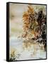 Watercolor 210505-Pol Ledent-Framed Stretched Canvas