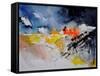 Watercolor 212132-Pol Ledent-Framed Stretched Canvas