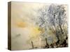 Watercolor 240505-Pol Ledent-Stretched Canvas