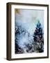 Watercolor 2512032-Pol Ledent-Framed Art Print