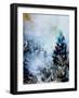 Watercolor 2512032-Pol Ledent-Framed Art Print