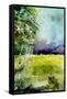 Watercolor 256-Pol Ledent-Framed Stretched Canvas