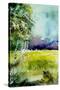 Watercolor 256-Pol Ledent-Stretched Canvas