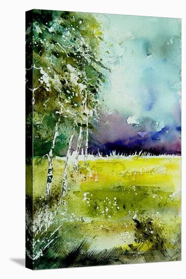 Watercolor 256-Pol Ledent-Stretched Canvas