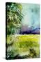 Watercolor 256-Pol Ledent-Stretched Canvas