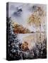 Watercolor 261104-Pol Ledent-Stretched Canvas