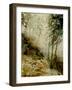 watercolor 271005-Pol Ledent-Framed Art Print