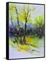 Watercolor 4121022-Pol Ledent-Framed Stretched Canvas