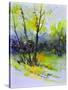 Watercolor 4121022-Pol Ledent-Stretched Canvas