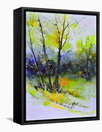 Watercolor 4121022-Pol Ledent-Framed Stretched Canvas