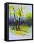 Watercolor 4121022-Pol Ledent-Framed Stretched Canvas