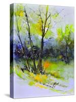 Watercolor 4121022-Pol Ledent-Stretched Canvas