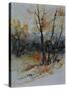 Watercolor 412102-Pol Ledent-Stretched Canvas