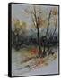 Watercolor 412102-Pol Ledent-Framed Stretched Canvas