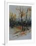 Watercolor 412102-Pol Ledent-Framed Art Print