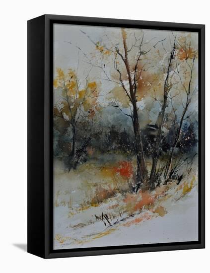 Watercolor 412102-Pol Ledent-Framed Stretched Canvas