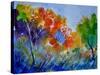 Watercolor 412152-Pol Ledent-Stretched Canvas